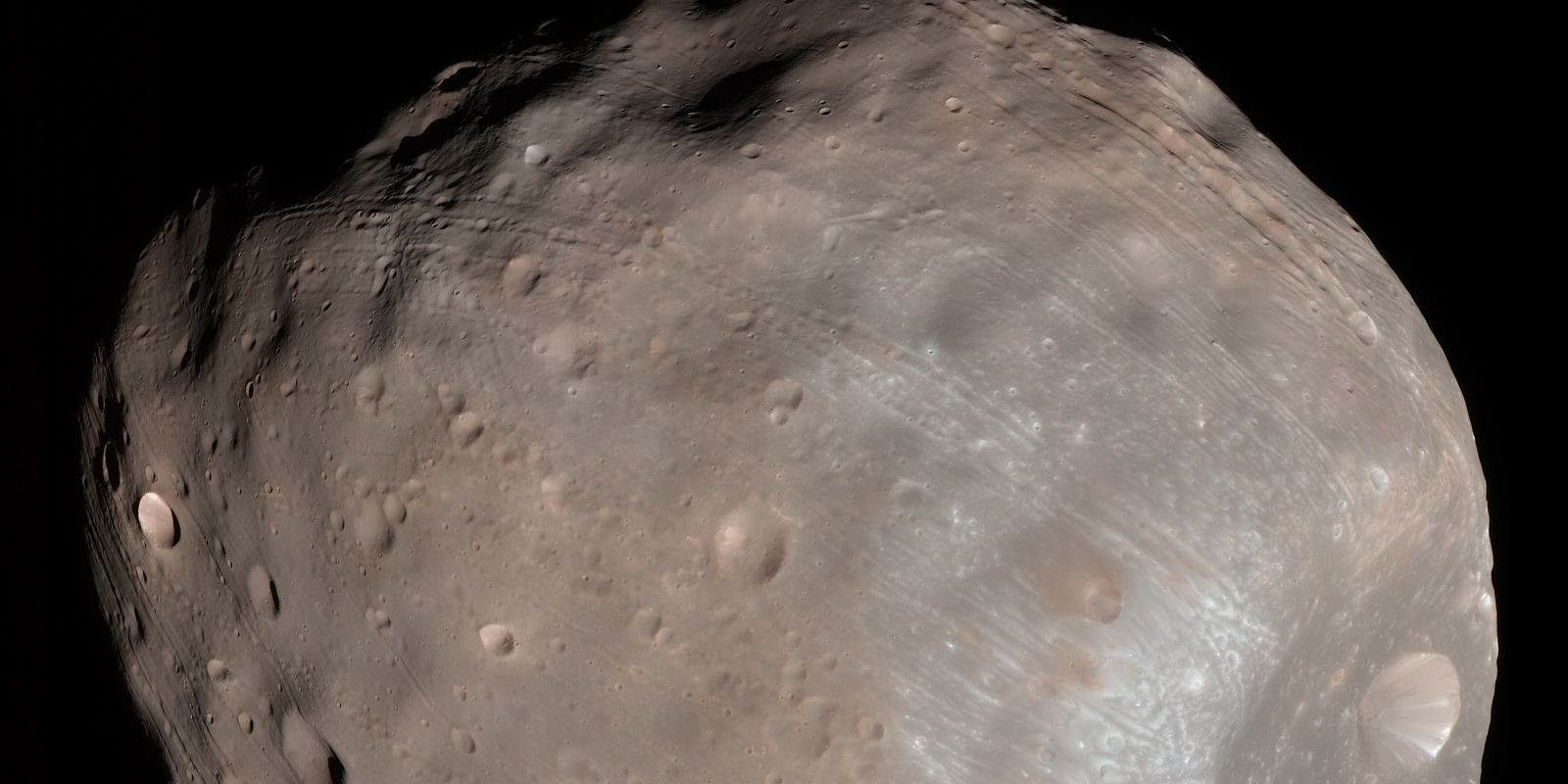 The lumpy grey moon Phobos with a large crater