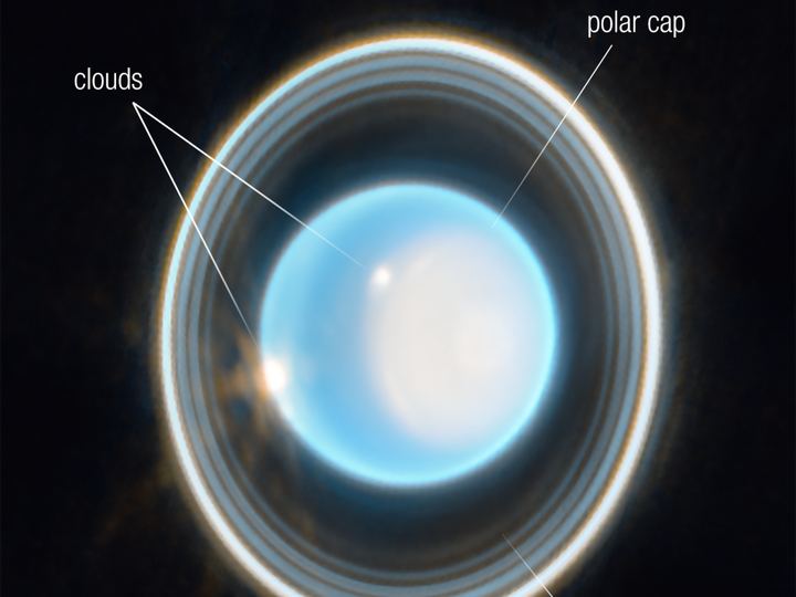 An infrared Webb image of Uranus, a pale blue globe with a bright polar cap and thin glowing rings