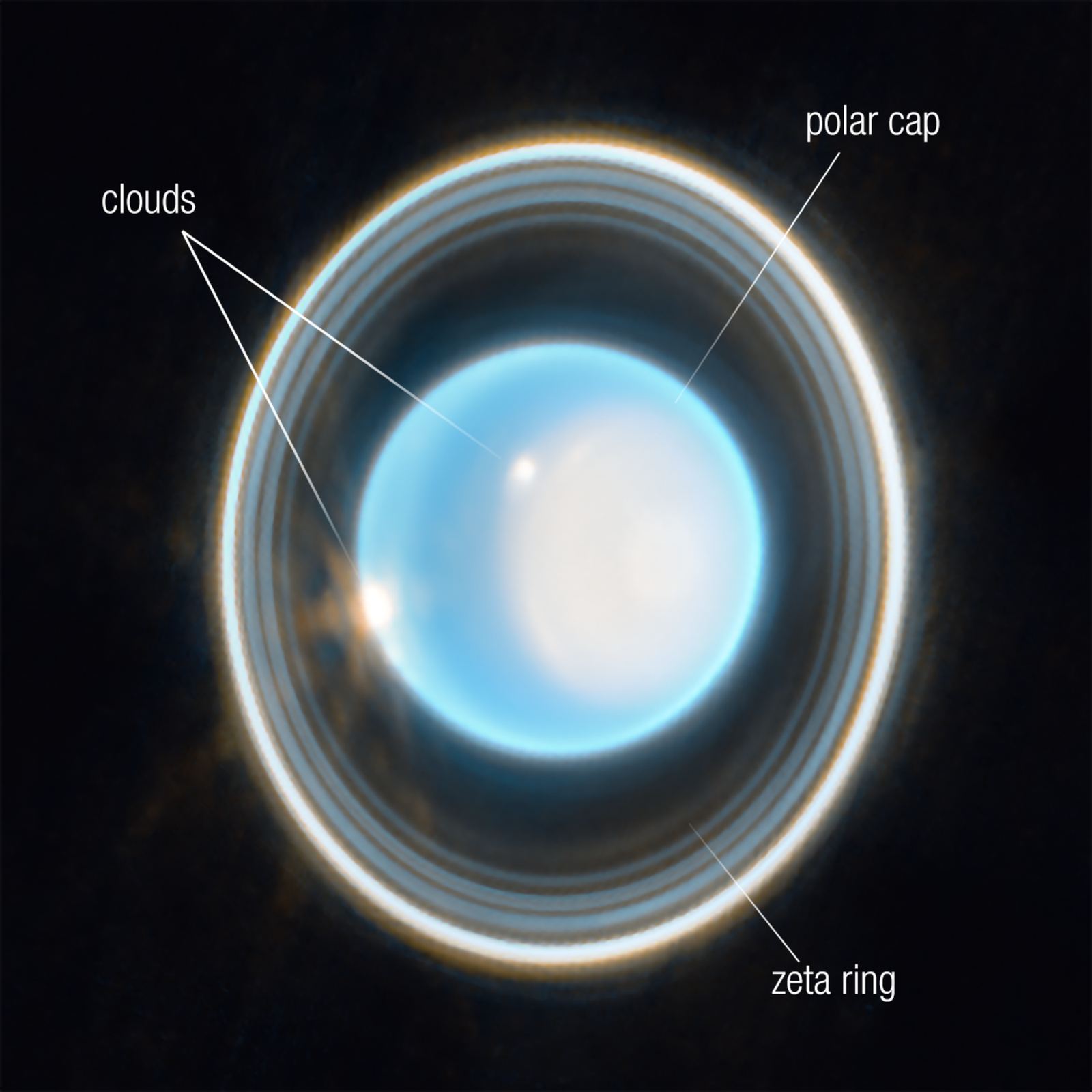 An infrared Webb image of Uranus, a pale blue globe with a bright polar cap and thin glowing rings